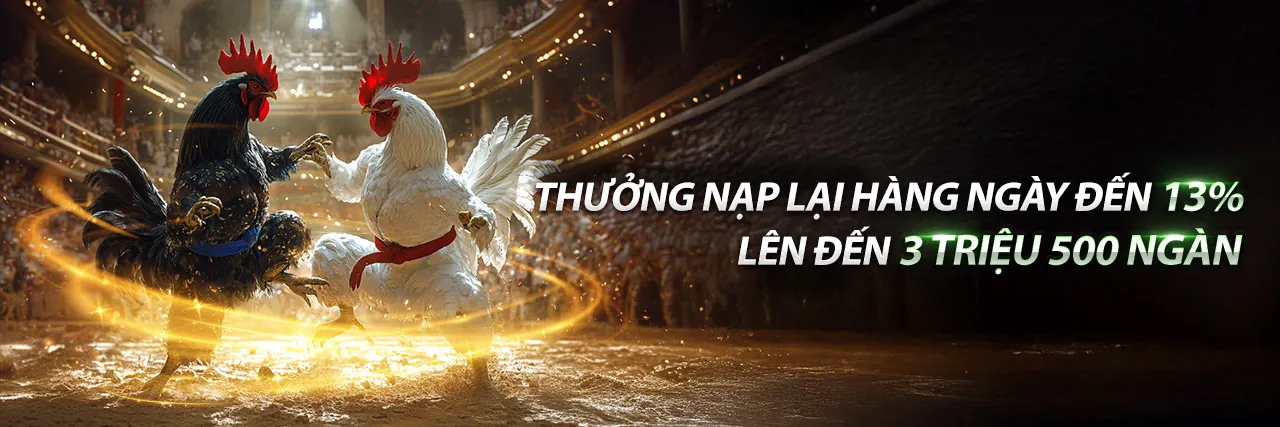 Hình ảnh tổng quan nền tảng Kuwin24